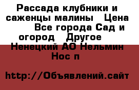 Рассада клубники и саженцы малины › Цена ­ 10 - Все города Сад и огород » Другое   . Ненецкий АО,Нельмин Нос п.